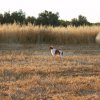 Αγωνες Α.Κ.Ι 18/6/2017